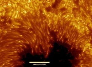 Beispielbild zum Spiegeln